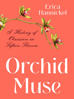 cover image of Orchid Muse